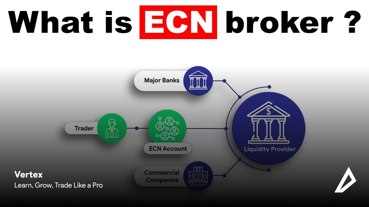 تصویر بیانگر تعریف حساب ECN می باشد.